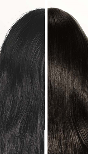 Hair Nourishing Shampoo: Best for Dry Hair