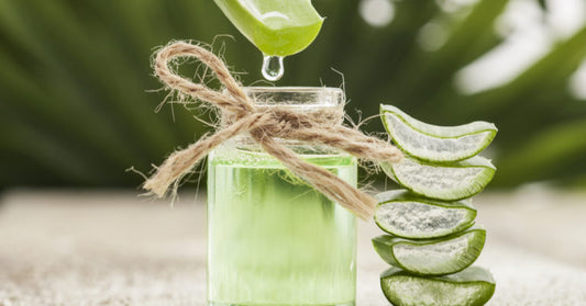 Different Ways To Use Aloe Vera In Your Daily Life