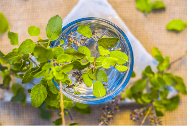 Health Benefits Of Tulsi You Didn’t Know About