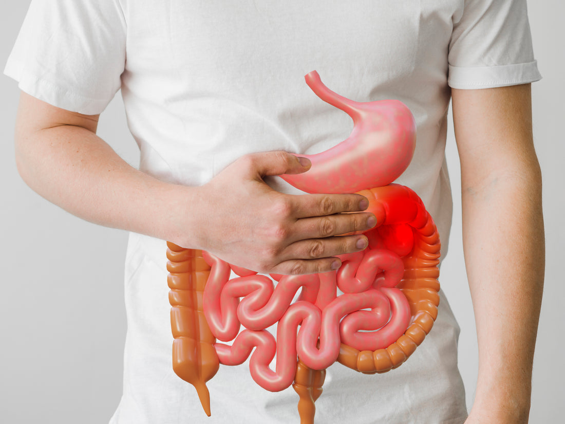 The Comprehensive Guide to Gut Cleanse and Stomach Detox