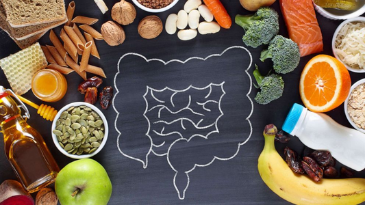 Which is the best supplement for gut health?